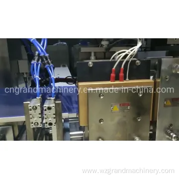 Nano Turmeric Solution Ampoule Filling Machine Ggs-240